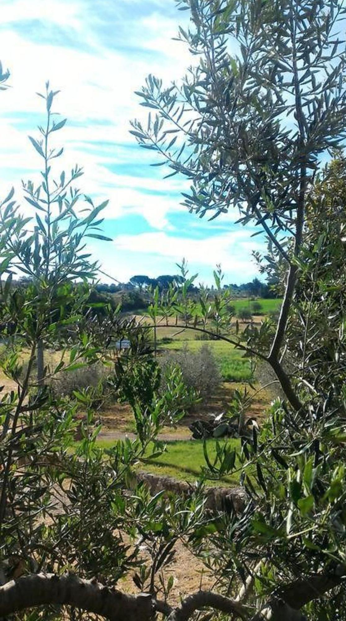 La Mandriana Villa Massa Marittima Luaran gambar