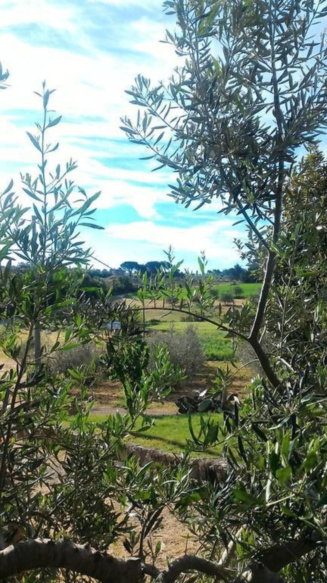 La Mandriana Villa Massa Marittima Luaran gambar