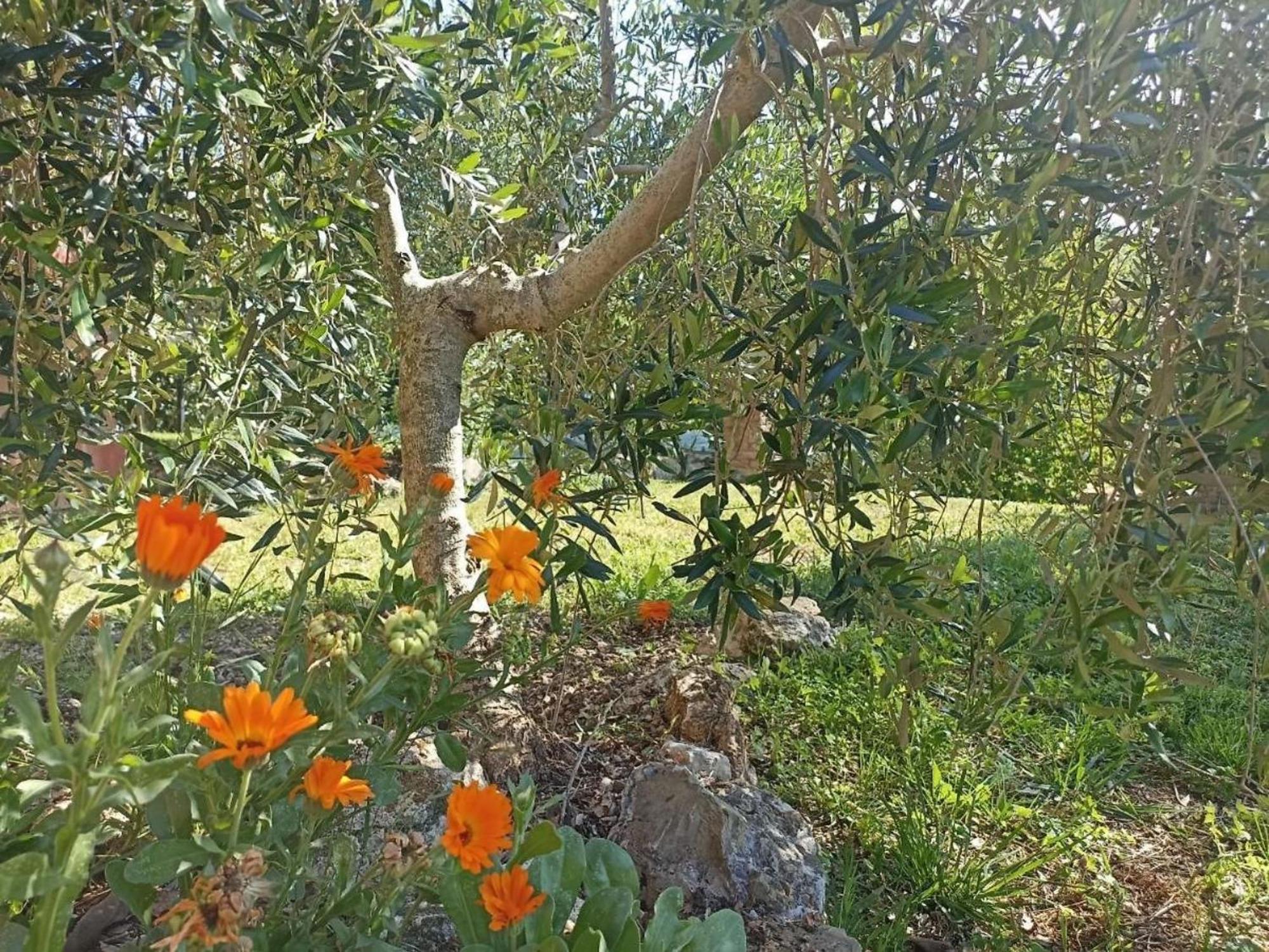 La Mandriana Villa Massa Marittima Luaran gambar